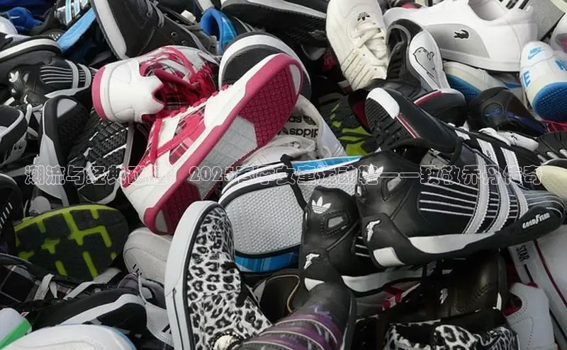 潮流与经典碰撞：2025春季女童运动鞋——致敬乔丹传奇