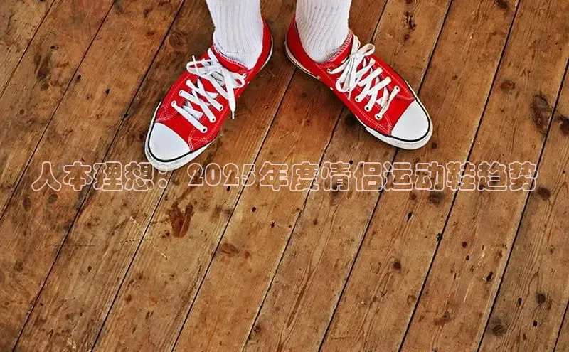 xc体育