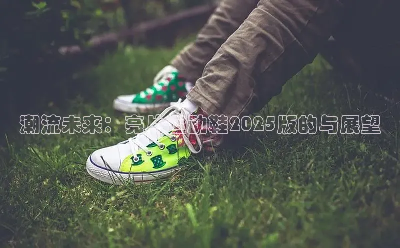 XC网页版入口