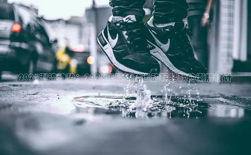 XC网页版入口